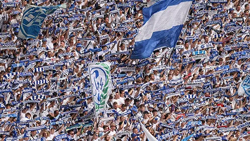 FC Schalke 04 fans holding up their team's flags and scarves in the stands. (Photo)